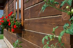 uvodni-spary-roubenka-10