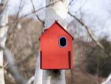 Pět ptač&iacute;ch garsonek<br />