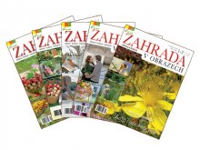 100x ročn&iacute; předplatn&eacute; časopisu Zahrada v obrazech