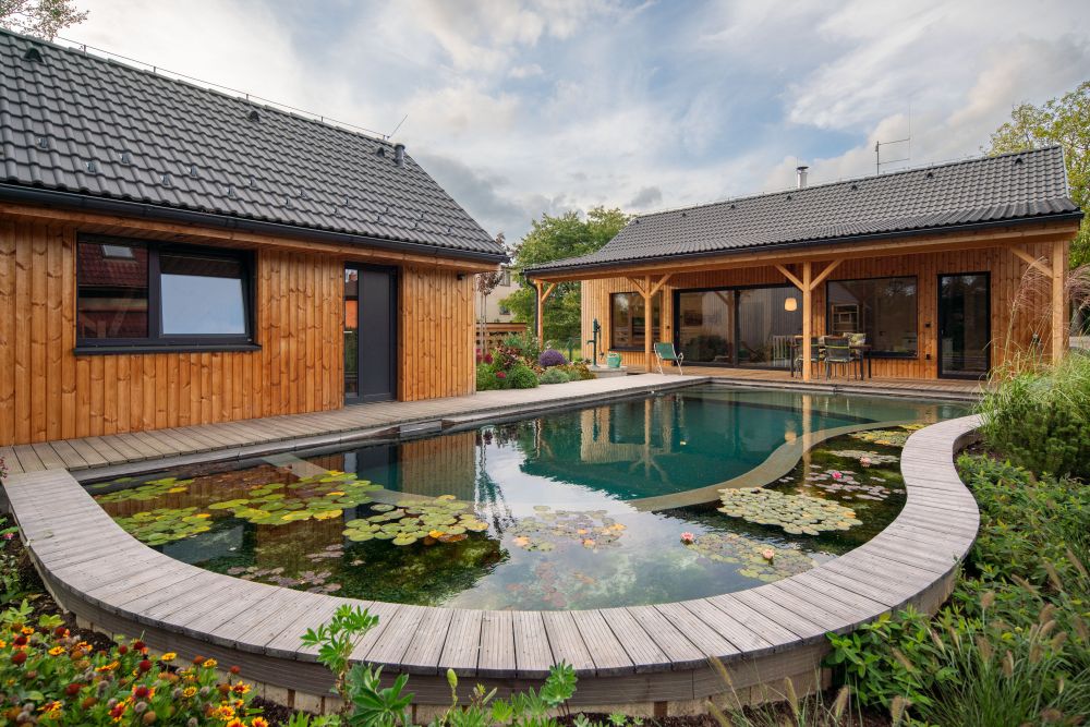 V zátiší s lekníny