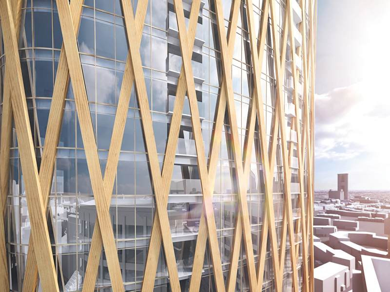 4 Oak Timber Tower Holandsko