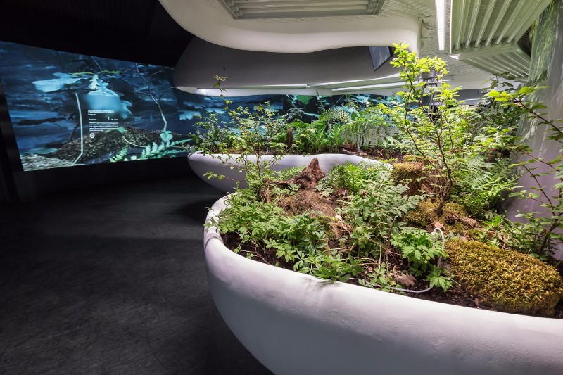 laboratoř ticha projekce