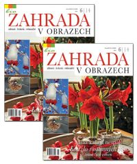 Tandem - d&aacute;rek, kter&yacute; se vyplat&iacute;!