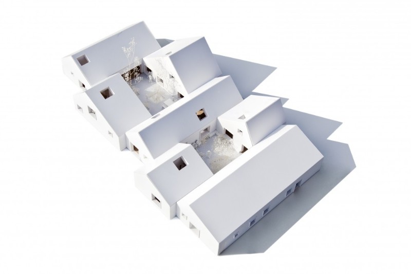 Cancer Counseling Center, D&aacute;nsko, model