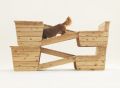 dezeen Architecture-for-Dogs 9