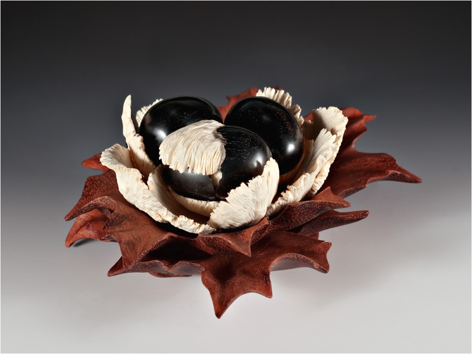 uměleck&eacute; předměty ze dřeva - listy a semena