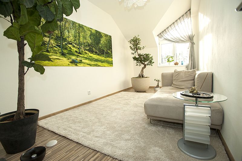 skola-interieru-obyvaci-pokoj-olga-buskova-zelen