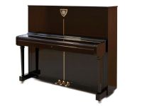 05 pianino ok Lion - Cut Crystal