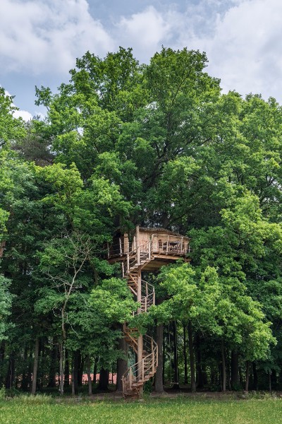 dům na stromě - ext1