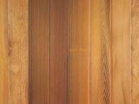 19 MHP-Rotzeder Pr53 WG-FL