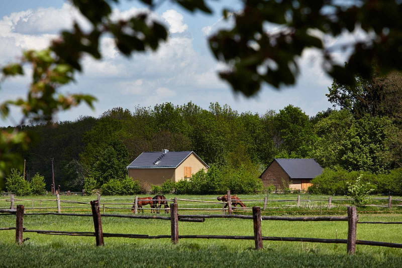 8-drevostavba-Litovel-oploceni