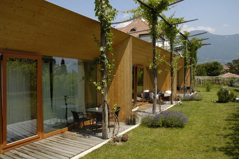 dřevostavba organický tvar