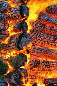 06 dreamstime 4924285