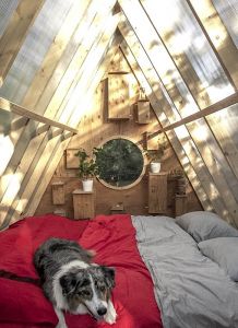 Birdhut-chata-v-ptacim-stylu-interier