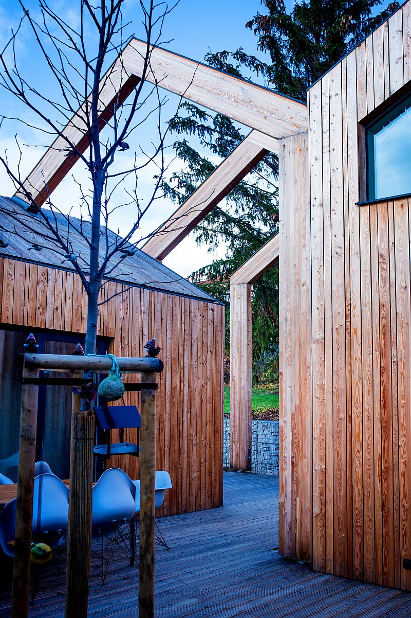 moderni-dum-palis-detail