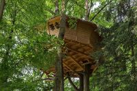 Bydlen&iacute; v korun&aacute;ch stromů na zkou&scaron;ku