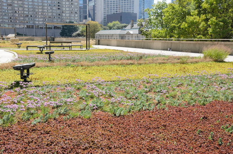 vegetacni-strecha-11