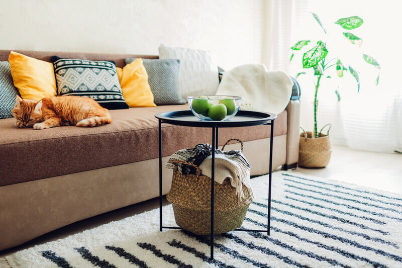 utulny-domov-interier-pohovka