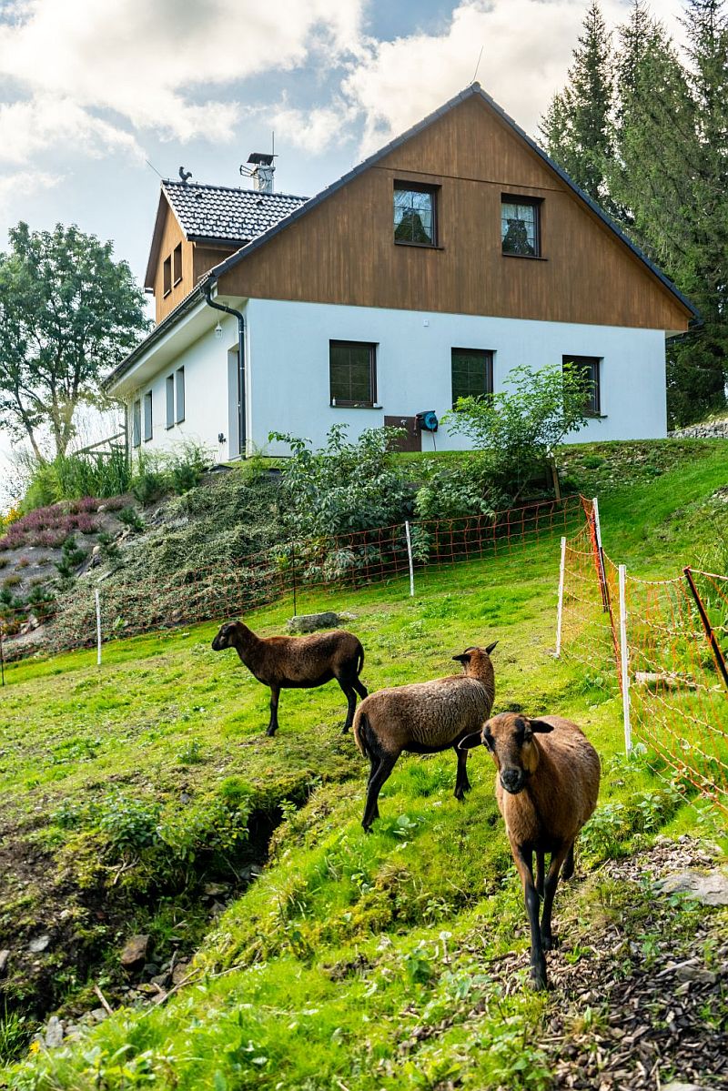 drevostavba-v-CHKO-pozemek-ve-svahu