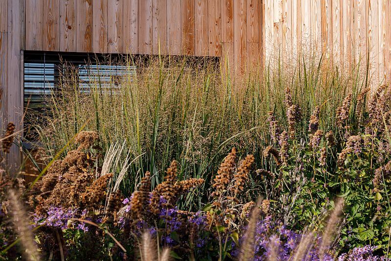 navsteva-Prodesi-Domesi-zahon-u-domu