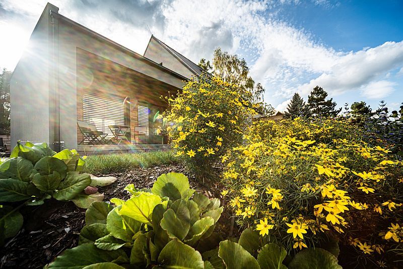 navsteva-drevostavby-ATREA-6