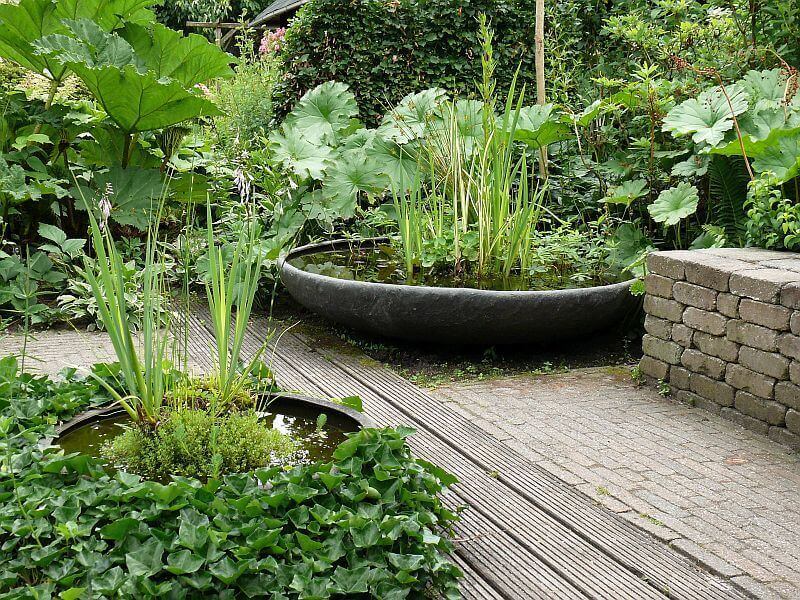 nizka-nadoba-pro-vodni-rostliny