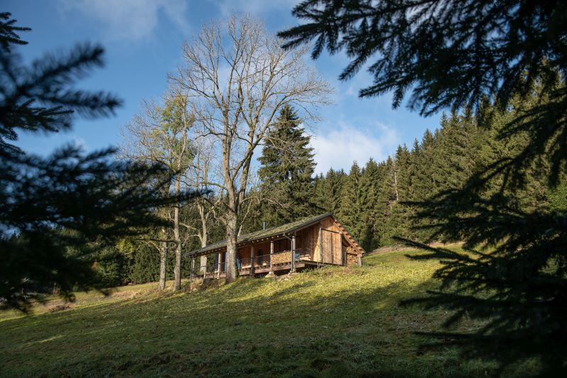 DrevoaStavby.cz | Pařezová chaloupka v Orlických horách DrevoaStavby.cz | Pařezová chaloupka v Orlických horách