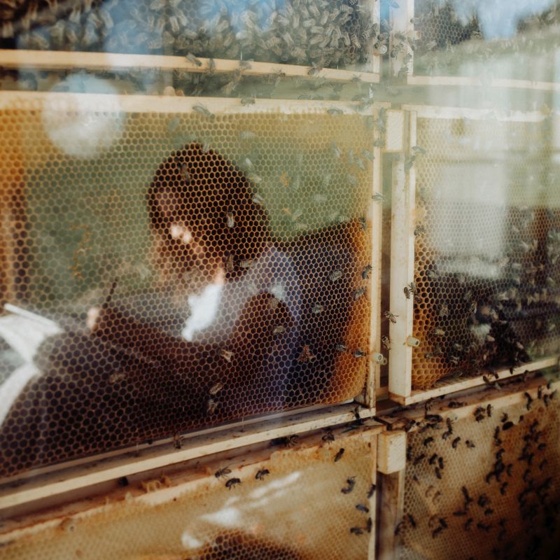 DrevoaStavby.cz | Spaní na medu | Ubytování ve dřevěném včelíně DrevoaStavby.cz | Spaní na medu | Ubytování ve dřevěném včelíně