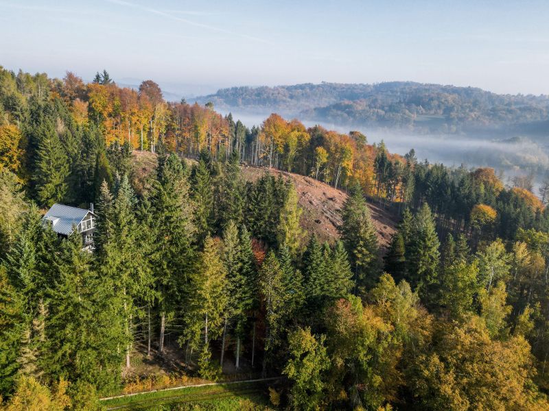 DrevoaStavby.cz | Dřevěná nástavba-moderní chata v lese DrevoaStavby.cz | Dřevěná nástavba-moderní chata v lese