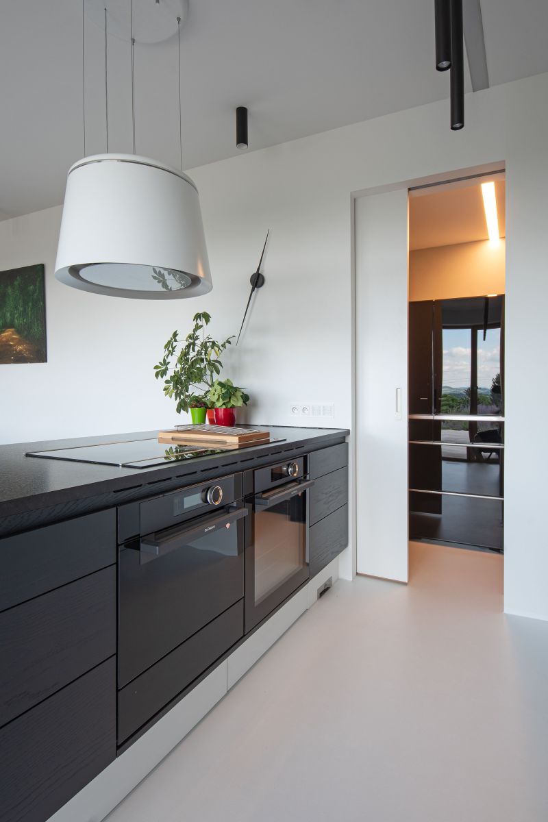 DrevoaStavby.cz | Moderní dřevostavba ve svažitém pozemku s jezírkem DrevoaStavby.cz | Moderní dřevostavba ve svažitém pozemku s jezírkem