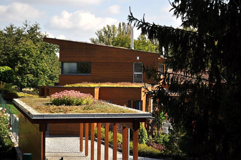 travnata-strecha-Sedum-Top