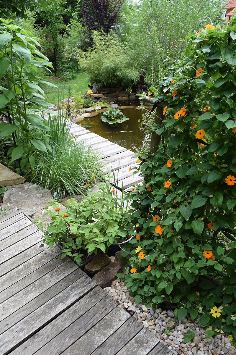 exotika-na-terase-zahradka-terasa