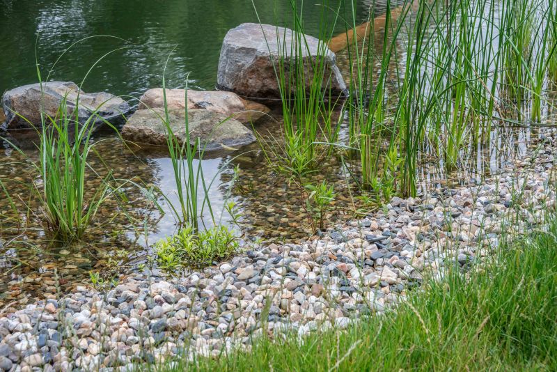 DrevoaStavby.cz Stavba a údržba jezírka s Michalem Šperlingem 5_Osazeni vodnimi rostlinami