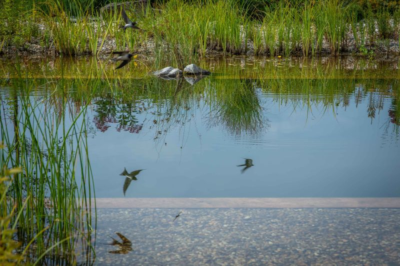 DrevoaStavby.cz Stavba a údržba jezírka s Michalem Šperlingem 6 DrevoaStavby.cz Stavba a údržba jezírka s Michalem Šperlingem 6