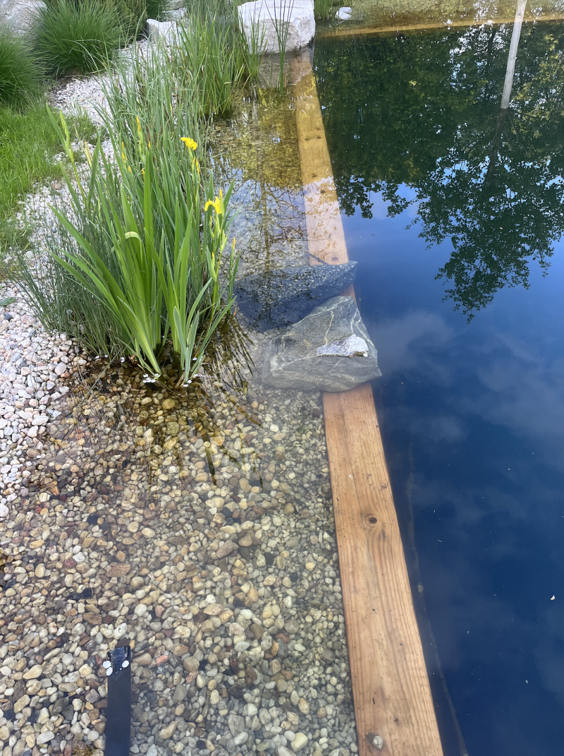 DrevoaStavby.cz Stavba a údržba jezírka s Michalem Šperlingem 8 DrevoaStavby.cz Stavba a údržba jezírka s Michalem Šperlingem 8