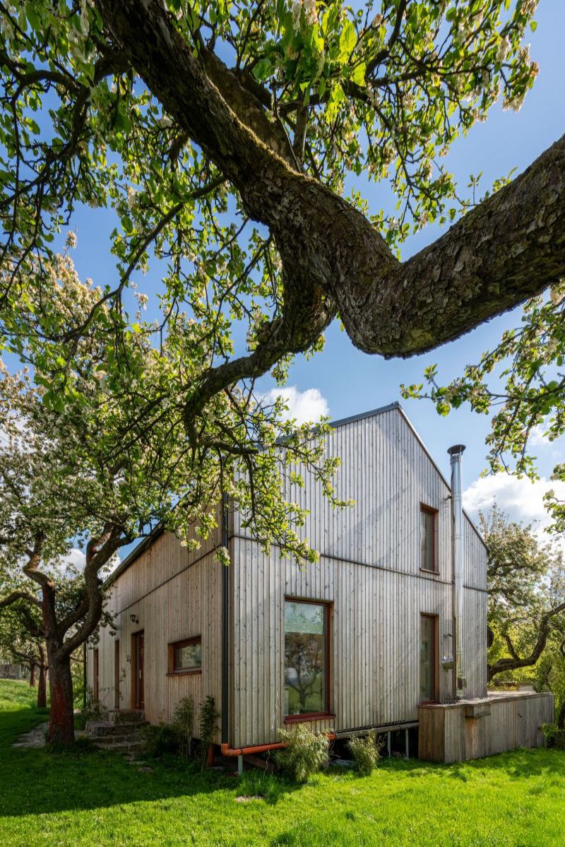 DrevoaStavby.cz Modulární dřevostavba mezi jabloněmi DrevoaStavby.cz Modulární dřevostavba mezi jabloněmi