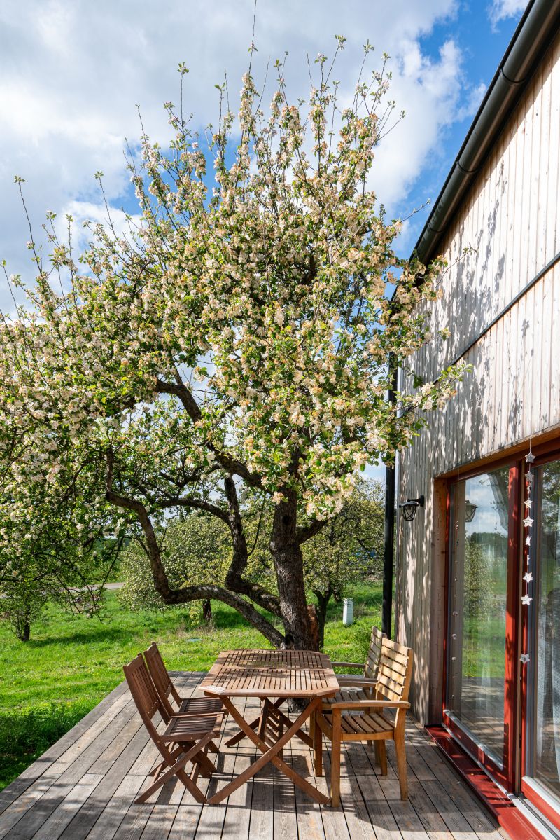 DrevoaStavby.cz Modulární dřevostavba mezi jabloněmi DrevoaStavby.cz Modulární dřevostavba mezi jabloněmi