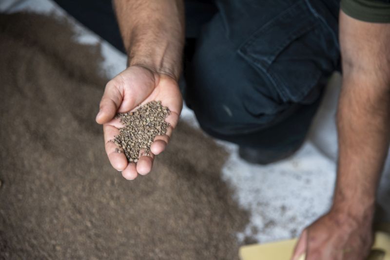 DrevoaStavby.cz Jak na suchou podlahu i svépomocí DrevoaStavby.cz Jak na suchou podlahu i svépomocí