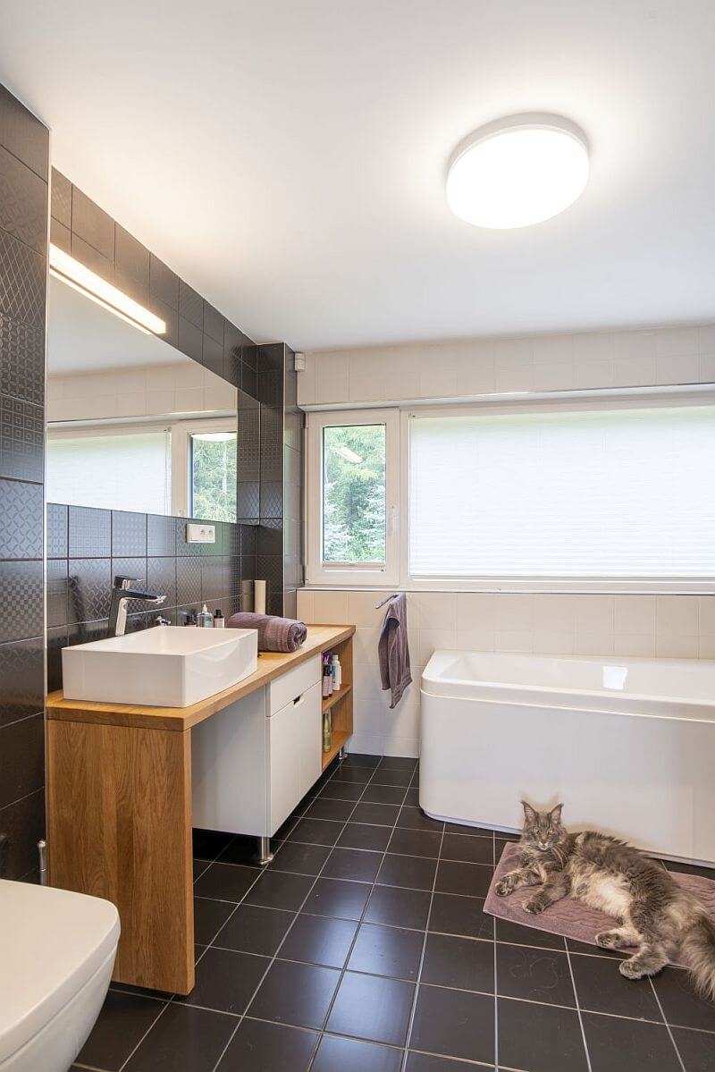 moderni-drevostavba-prodesi-domesi-koupelna