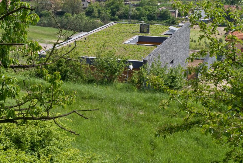 DrevoaStavby.cz | Dřevostavba zapuštěná do svahu DrevoaStavby.cz | Dřevostavba zapuštěná do svahu