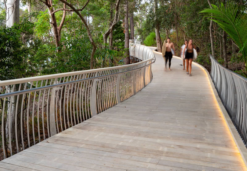 accoya-drevo-foto-timber-trader