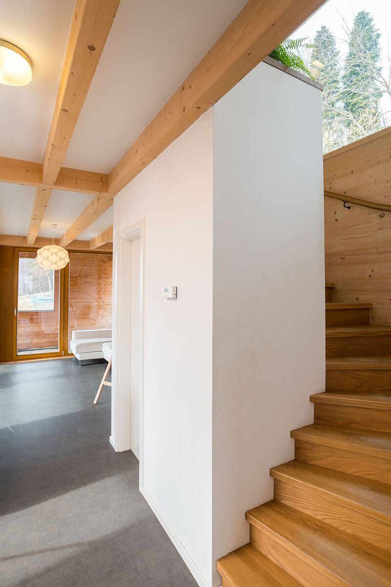 navsteva-Prodesi-.drevostvaba-ve-svahu-chodba