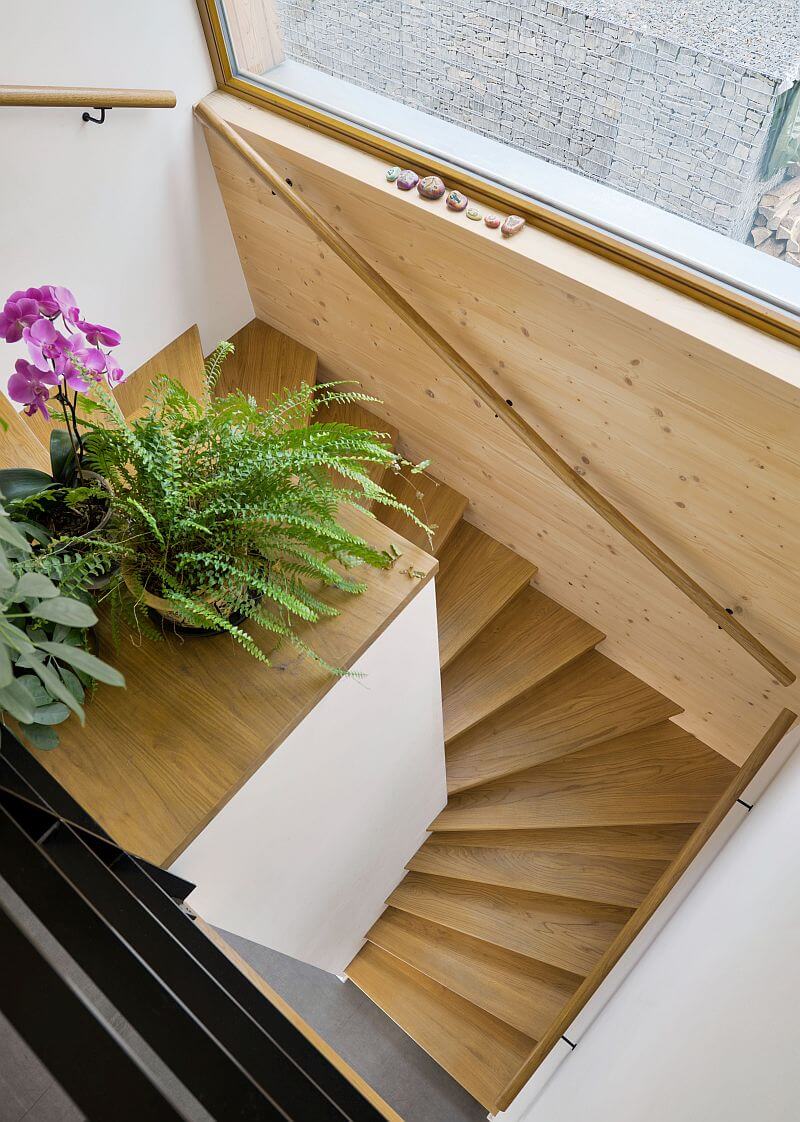 navsteva-Prodesi-.drevostvaba-ve-svahu-schodiste