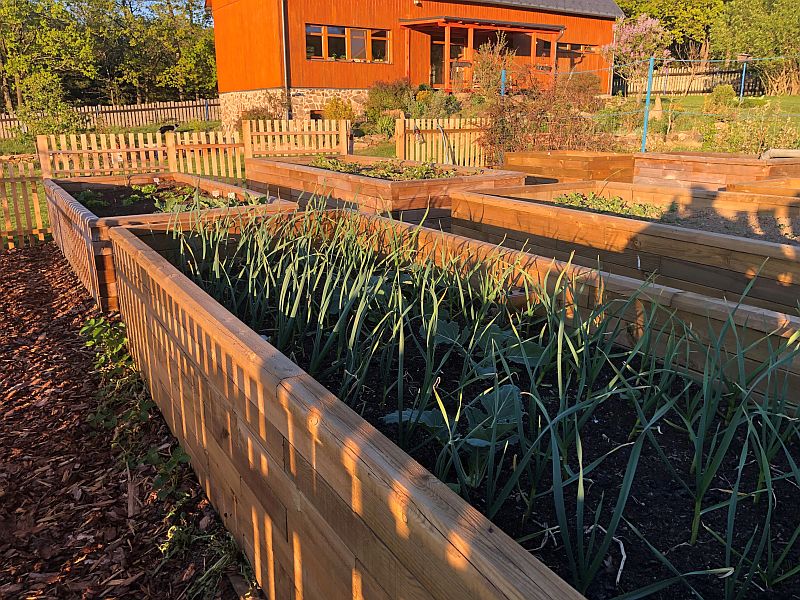 DrevoaStavby.cz Vyv&yacute;&scaron;en&eacute; z&aacute;hony na zahradě a jejich v&yacute;hody