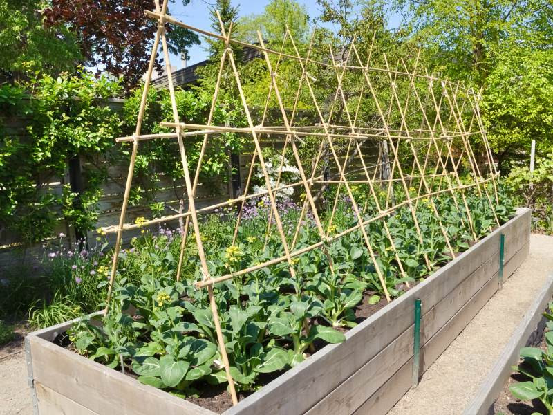 DrevoaStavby.cz Vyv&yacute;&scaron;en&eacute; z&aacute;hony na zahradě a jejich v&yacute;hody