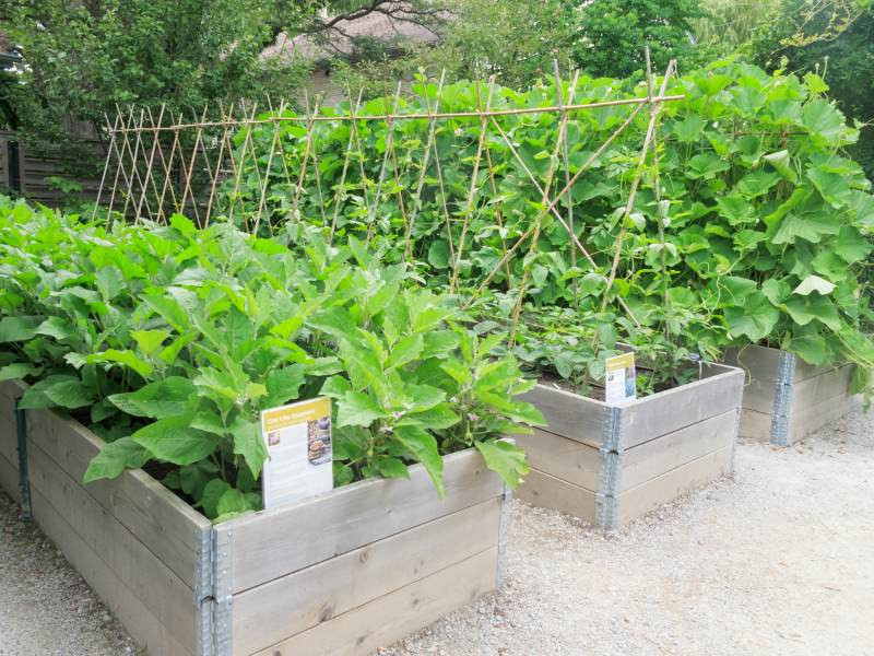 DrevoaStavby.cz Vyv&yacute;&scaron;en&yacute; z&aacute;hon na zahradě pro pěstov&aacute;n&iacute; zeleniny