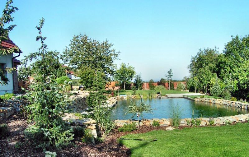 koupaci-jezirko-na-travnatem.pozemku