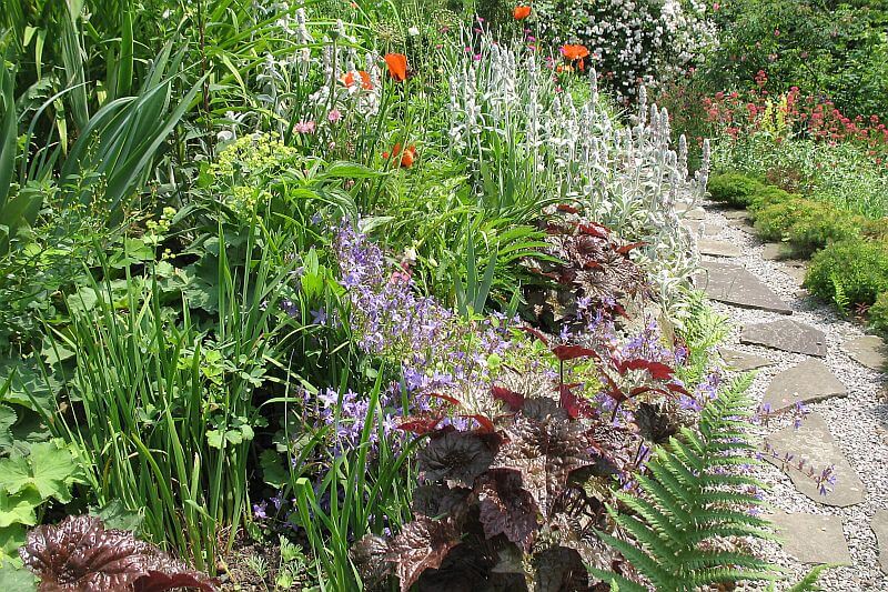 6-okrasna-zahrada-a-cesta