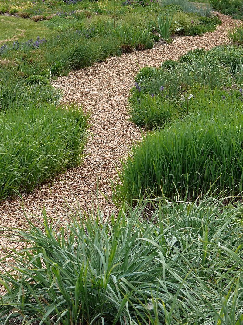 7-okrasna-zahrada-a-cesta