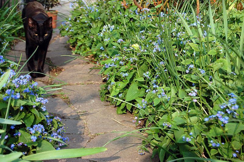 8-okrasna-zahrada-a-cesta